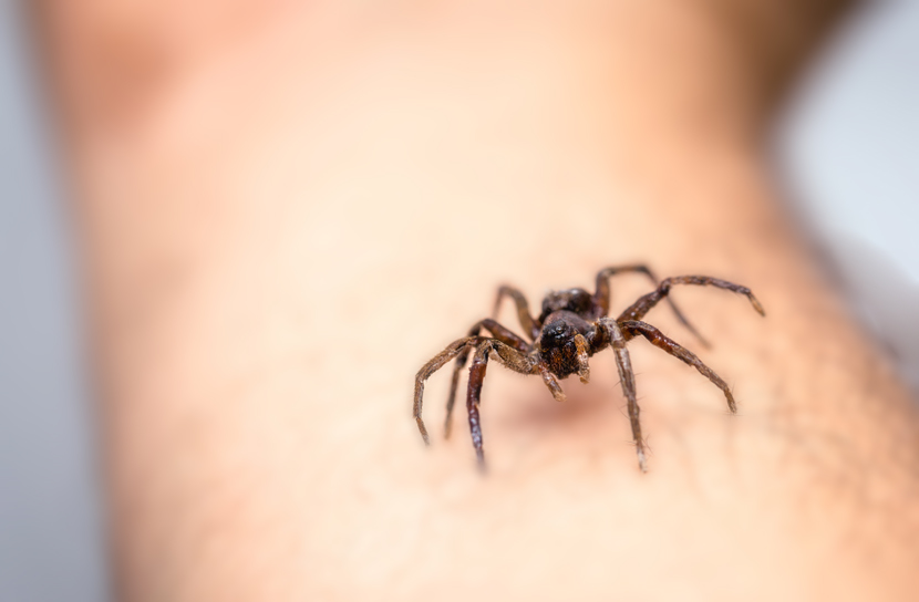 Vrouw schrikt van spin en ramt met haar auto tegen boten in jachthaven (video)