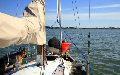 Watersportvereniging blij met verjonging in jachthavens