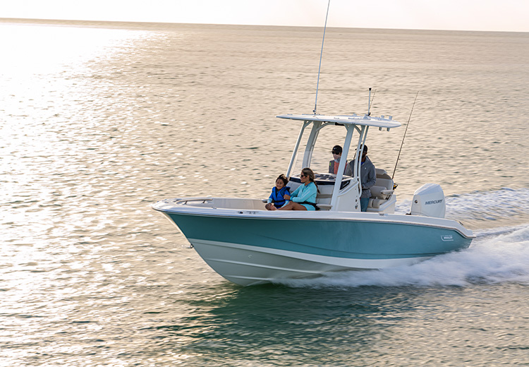 Boston Whaler breidt Dauntless-serie uit met 220 en 250 (video)