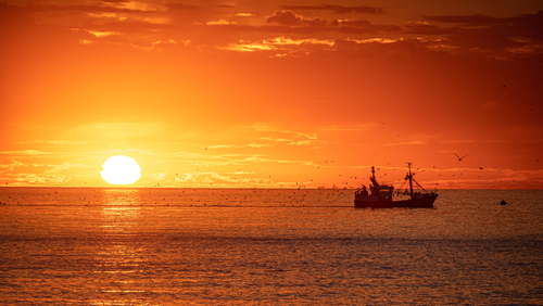 Urker kotter zinkt binnen 1 minuut na ongelukje