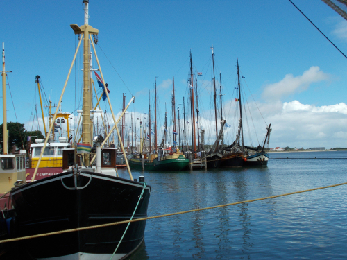 historische-zeilvloot-met-de-ondergang-bedreigd:-‘we-zijn-het-visitekaartje-van-nederland’