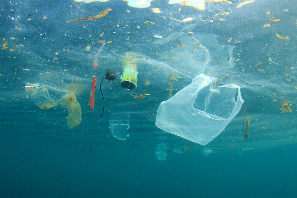 zeilboot-gebruikt-plastic-uit-de-oceaan-als-brandstof