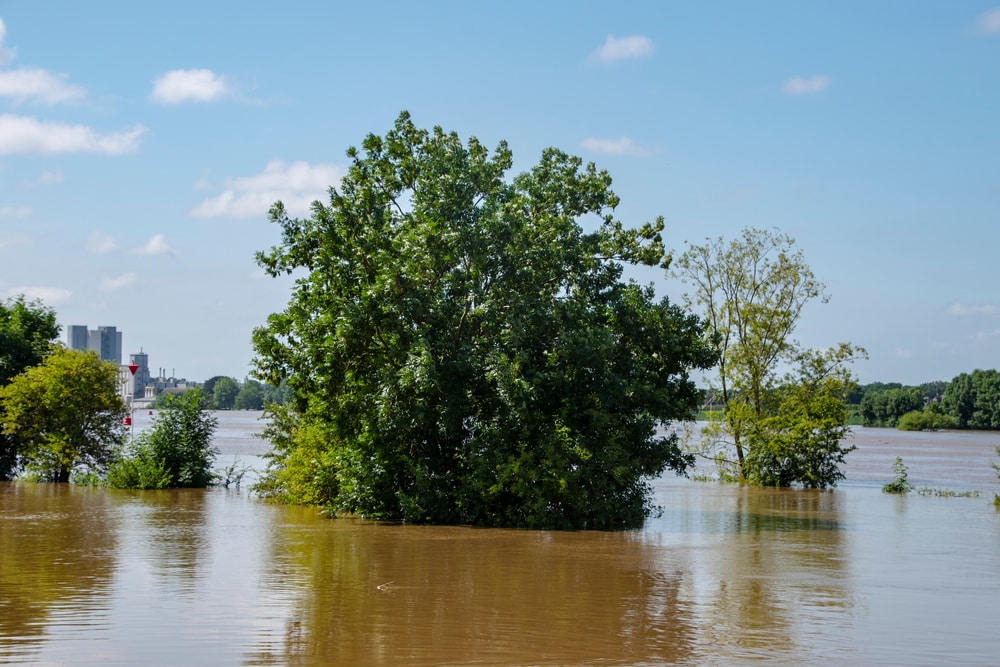 vriendengroep-bergt-aangespoelde-zeilboot-in-beesel-en-vindt-eigenaar