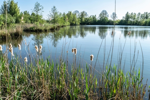 flevoland-pakt-kwaliteit-en-kwantiteit-van-water-in-provincie-aan