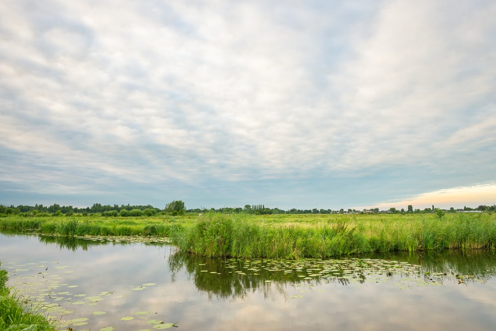 meeste-kleine-wateren-zijn-van-slechte-kwaliteit