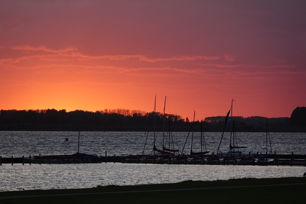 veerse-meer-heeft-overlast-van-wier