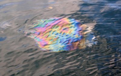 500 liter gasolie gelekt in Nieuwe Haven van Den Helder