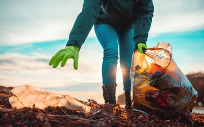 Zwerfafval Biesbosch wordt aangepakt