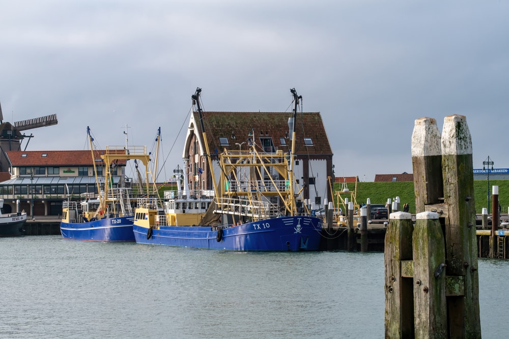 garnalen-vissen-en-zeehonden-spotten-op-tweede-paasdag