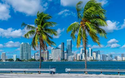 Nephaven in Miami voor Grand Prix trekt de aandacht
