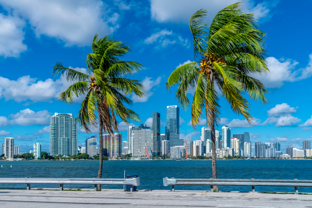 Nephaven in Miami voor Grand Prix trekt de aandacht