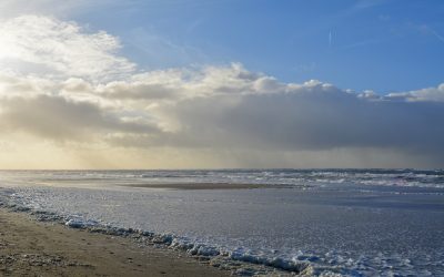 25 juni: Dag van het Wad bij Fort Kijkduin