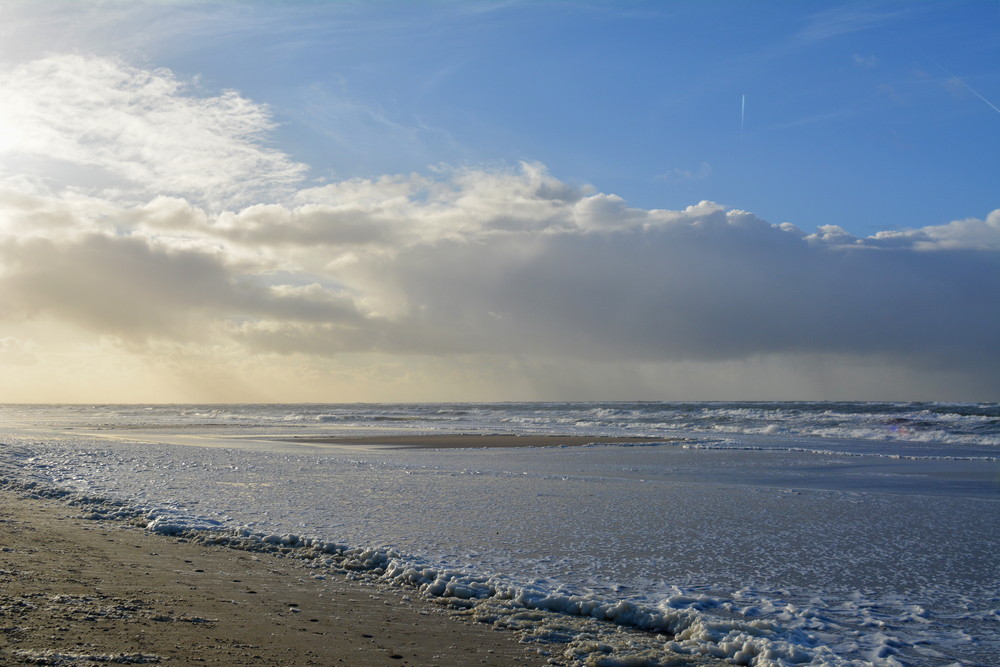 25 juni: Dag van het Wad bij Fort Kijkduin