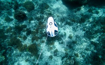 Onderwaterdrones helpen zoeken naar neergestort vliegtuigje in Calandkanaal