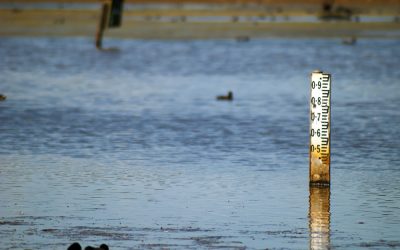 Droogte zorgt voor problemen scheepvaart