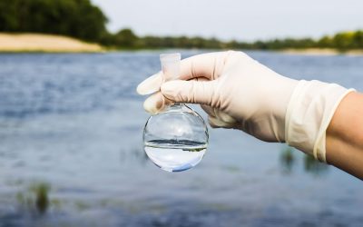 Nederlandse waterkwaliteit is slecht