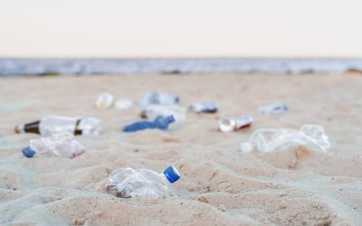 Waddenzee bevat ongeveer 21 ton aan onzichtbaar plastic