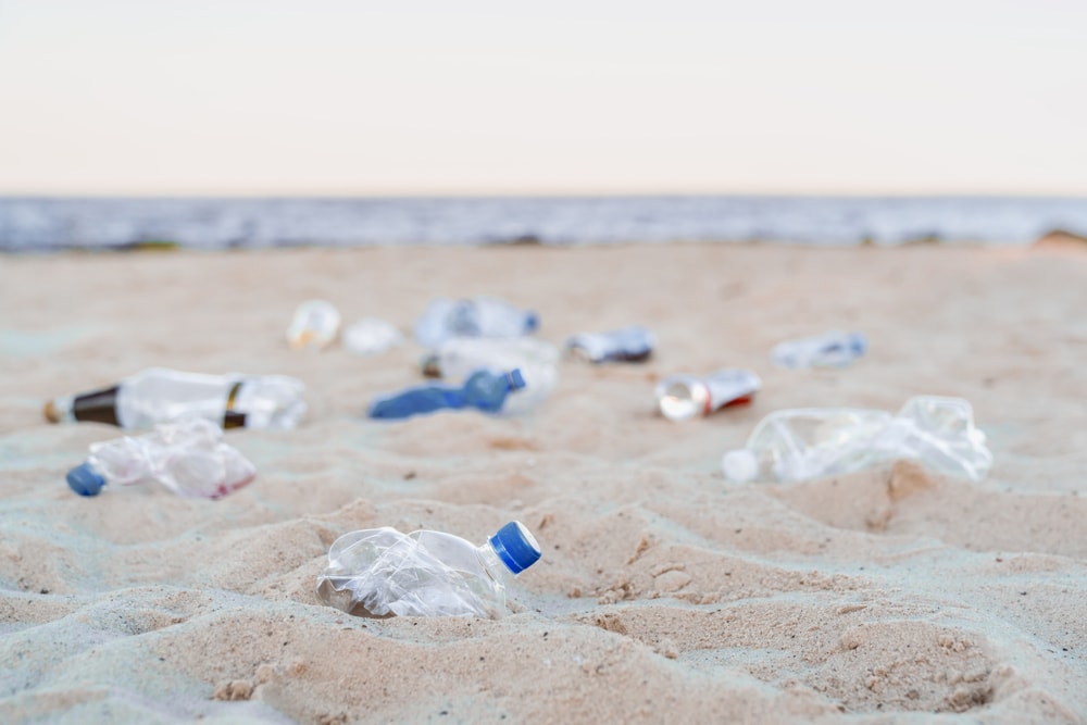 Waddenzee bevat ongeveer 21 ton aan onzichtbaar plastic