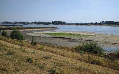 Hinder voor scheepvaart door extreem lage waterstand in de Rijn