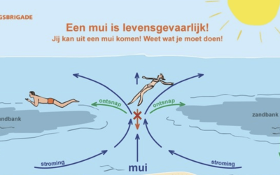 Wat te doen als u in een mui terecht komt?