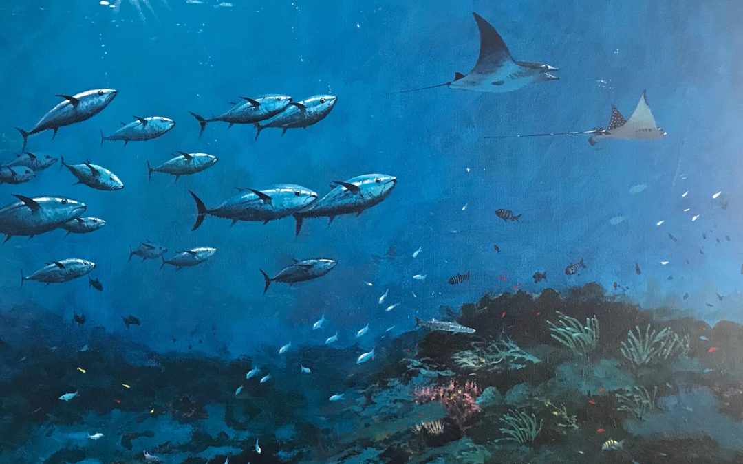 Expositie maritiem in pen/aquarel en olieverf