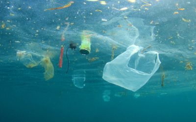 Ruim anderhalve ton afval verwijderd door ‘Clean up on Tour’