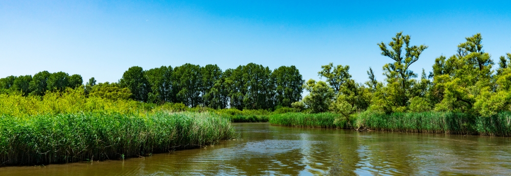 Elektrisch varen door de Biesbosch met de Zilvermeeuw Z9