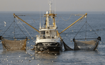 Vissers passen net aan om vermiste jongen Terschelling te vinden