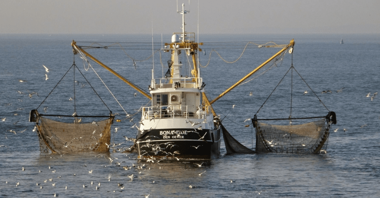Vissers passen net aan om vermiste jongen Terschelling te vinden
