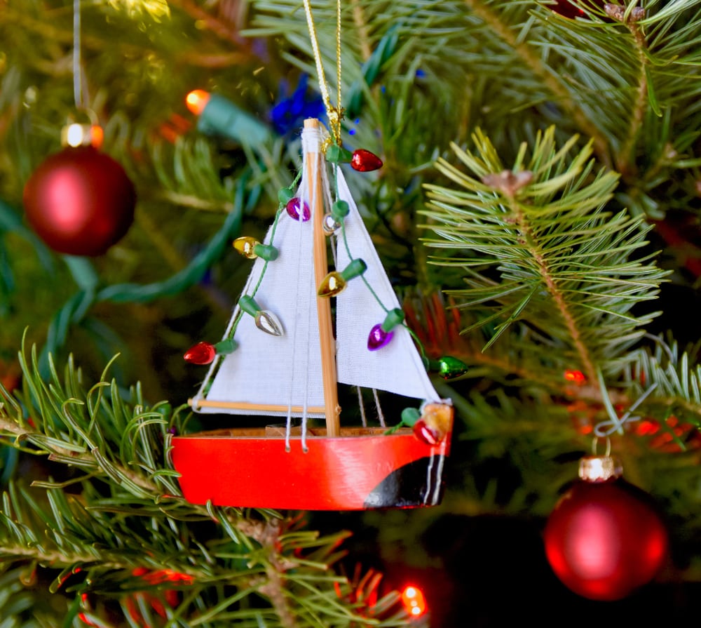 kerstbomen-in-leiden-opgehaald-door-elektrische-boot