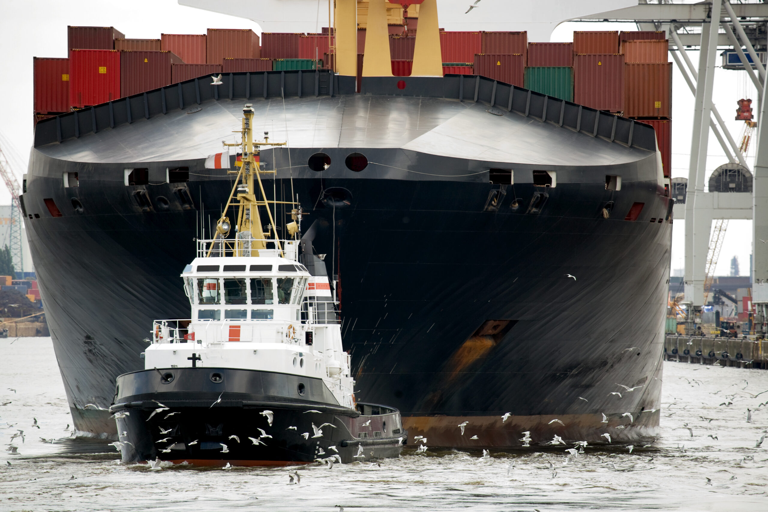 team-van-sleepboten-nodig-om-vrachtschip-los-te-trekken