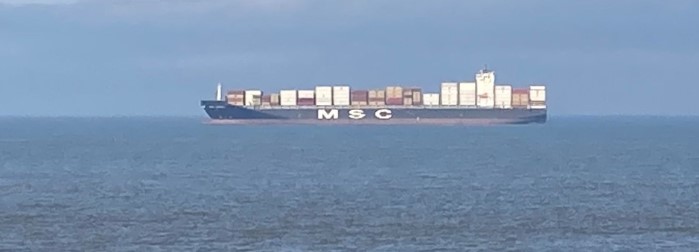 Verdachte gearresteerd voor valse bommelding containerschip