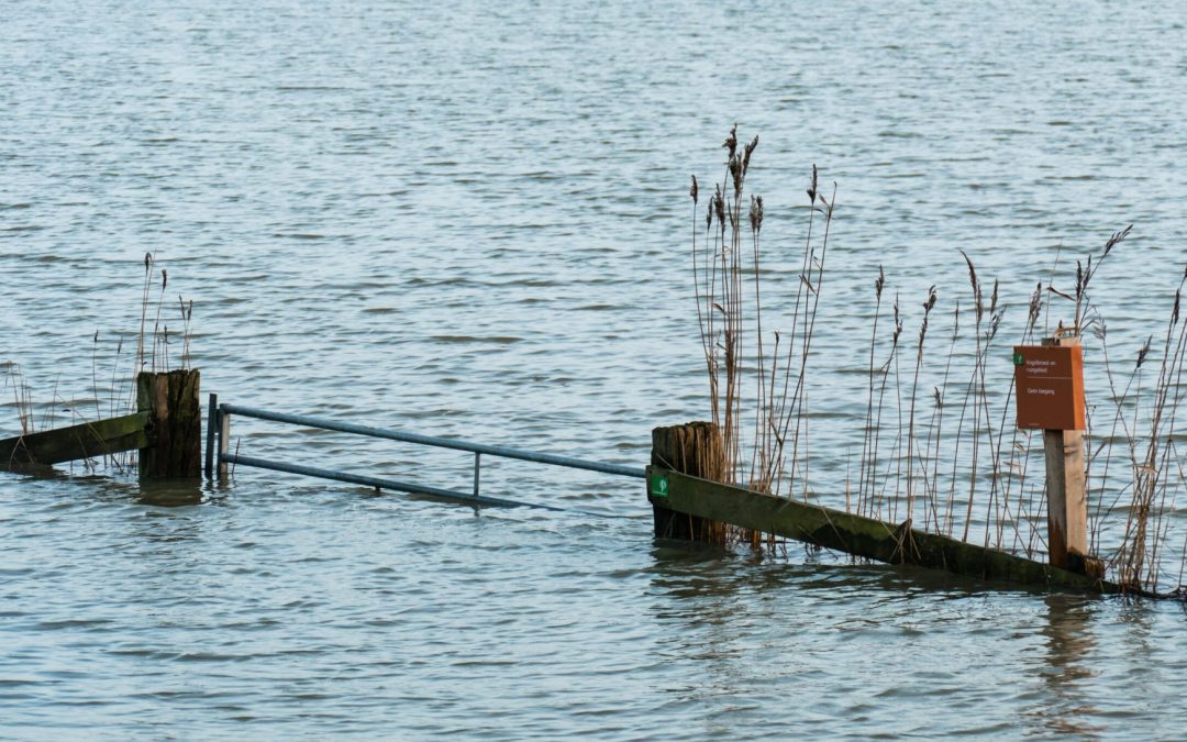 Zuid-Hollandse dijk heeft versterking nodig