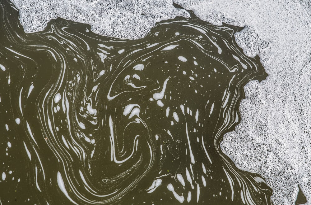 Nederlands water het smerigst van Europa