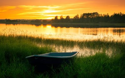 Boten op de wal in overtreding