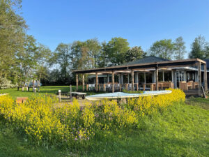 Nieuwe terras en pergola