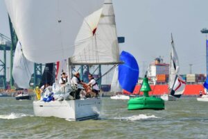 Schelderegatta