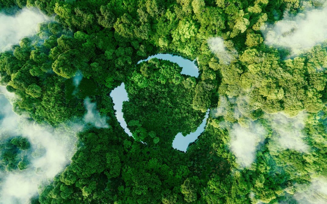 ECO Yachts is de eerste met volledig klimaatneutrale boten