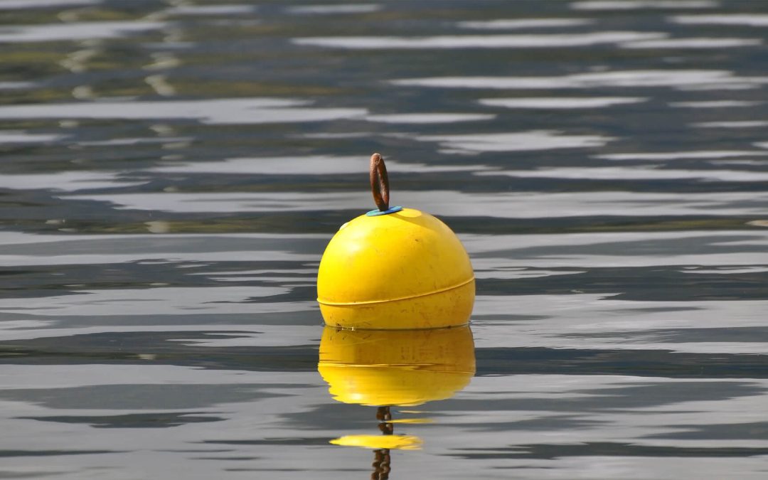 Watersporters mogen vogelrustgebieden niet in tot 1 april