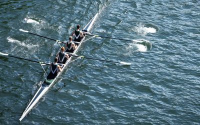Geslaagde 34e editie van Suikerrace