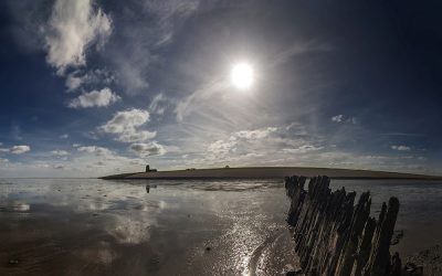 Navigatiecursus voor forellen – in de categorie bizar nieuws