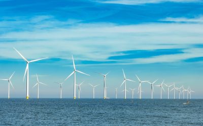 Steeds drukker op de Noordzee