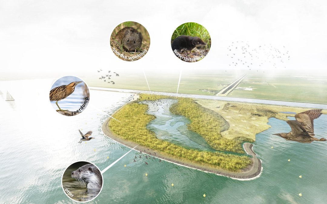 Werkzaamheden voor ‘nieuwe natuur’ Alkmaardermeer van start