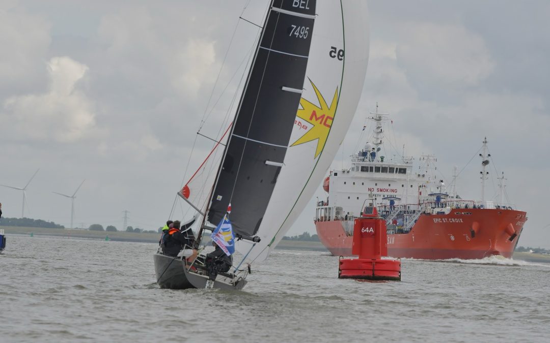 Schelderegatta: zeilen tussen de zeereuzen op de Schelde