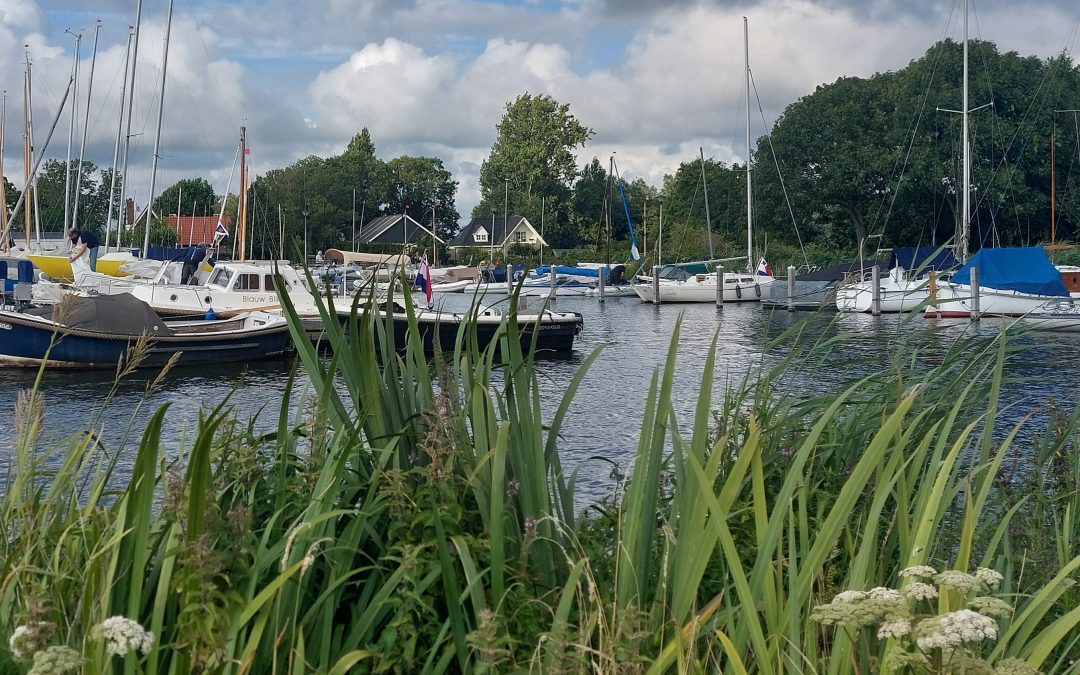 ‘Het gaat goed maar niet vanzelf’