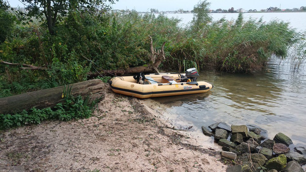 column-evert-stel…hondje-uitlaten