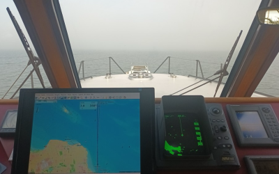 Column Evert Stel…Aandrang