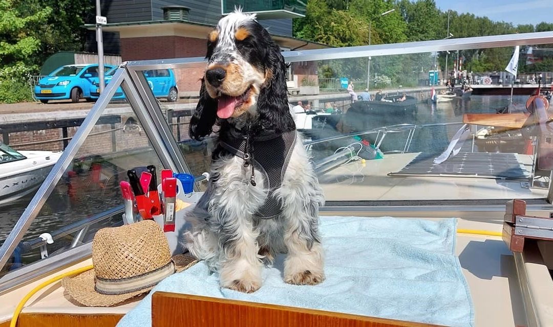 De beste maatjes op het water