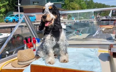 De beste maatjes op het water