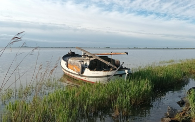 Juffrouw Doddel…